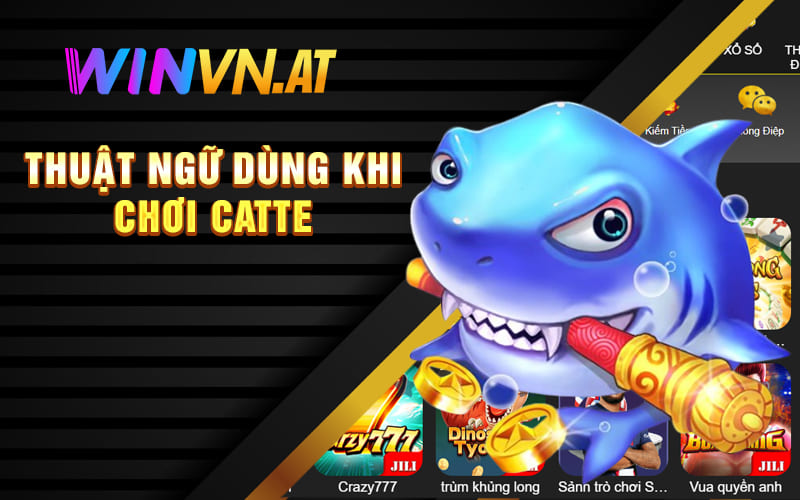 Thuật ngữ dùng khi chơi Catte